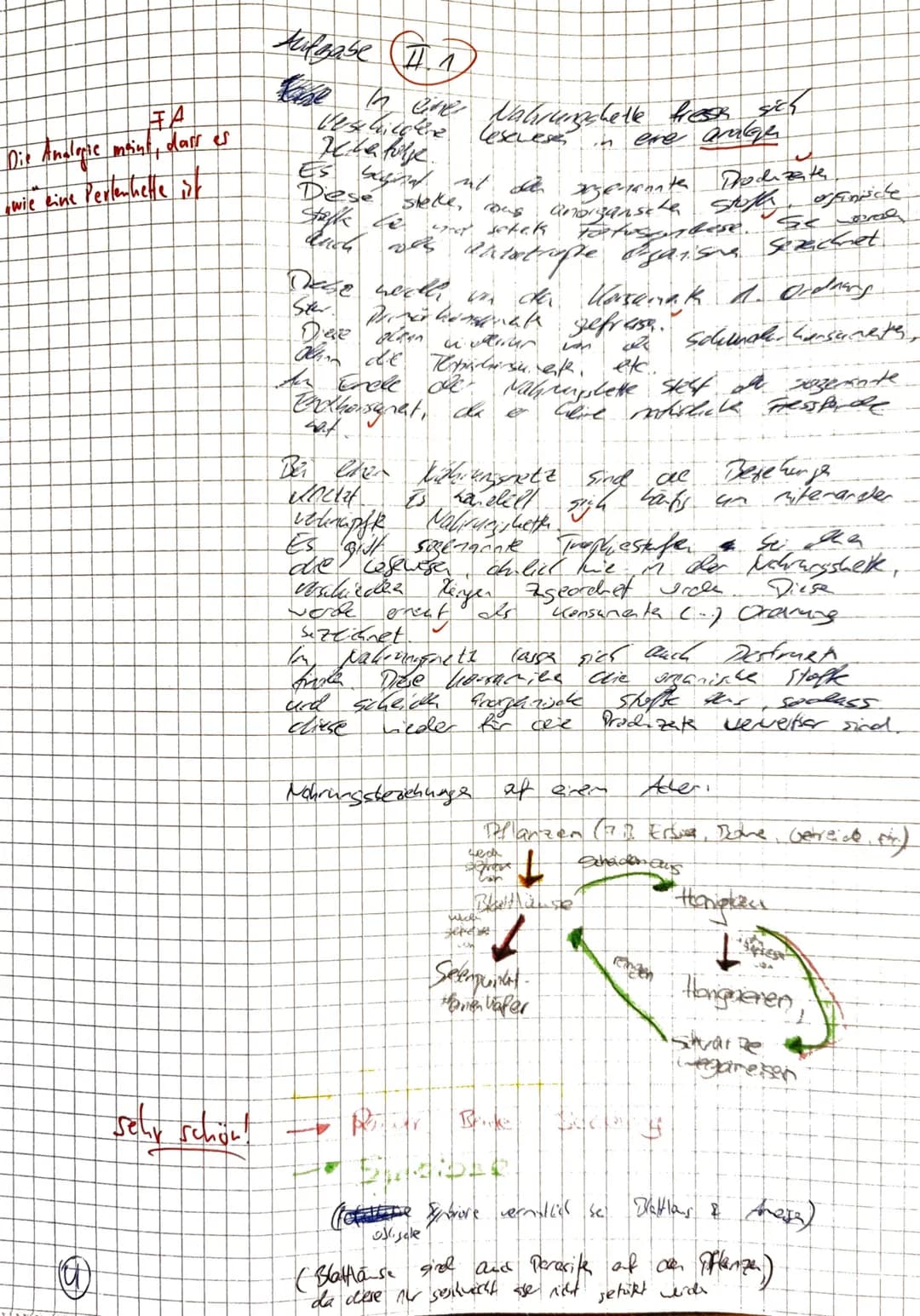 22.05.2023

Aufgabe 1: Ökologie - Beziehungen zwischen zwei Wattschneckenarten
Name: Nils Rosenberger

Aufgabenstellung:
|   |              