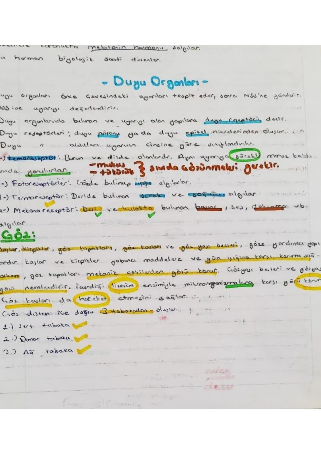 canontieta melatarin havmenu salgılar.
u hamen biyolojik Soati dusenter.

- Duyu Organları -
uyu organları önce çevesindati uyarıları tespit