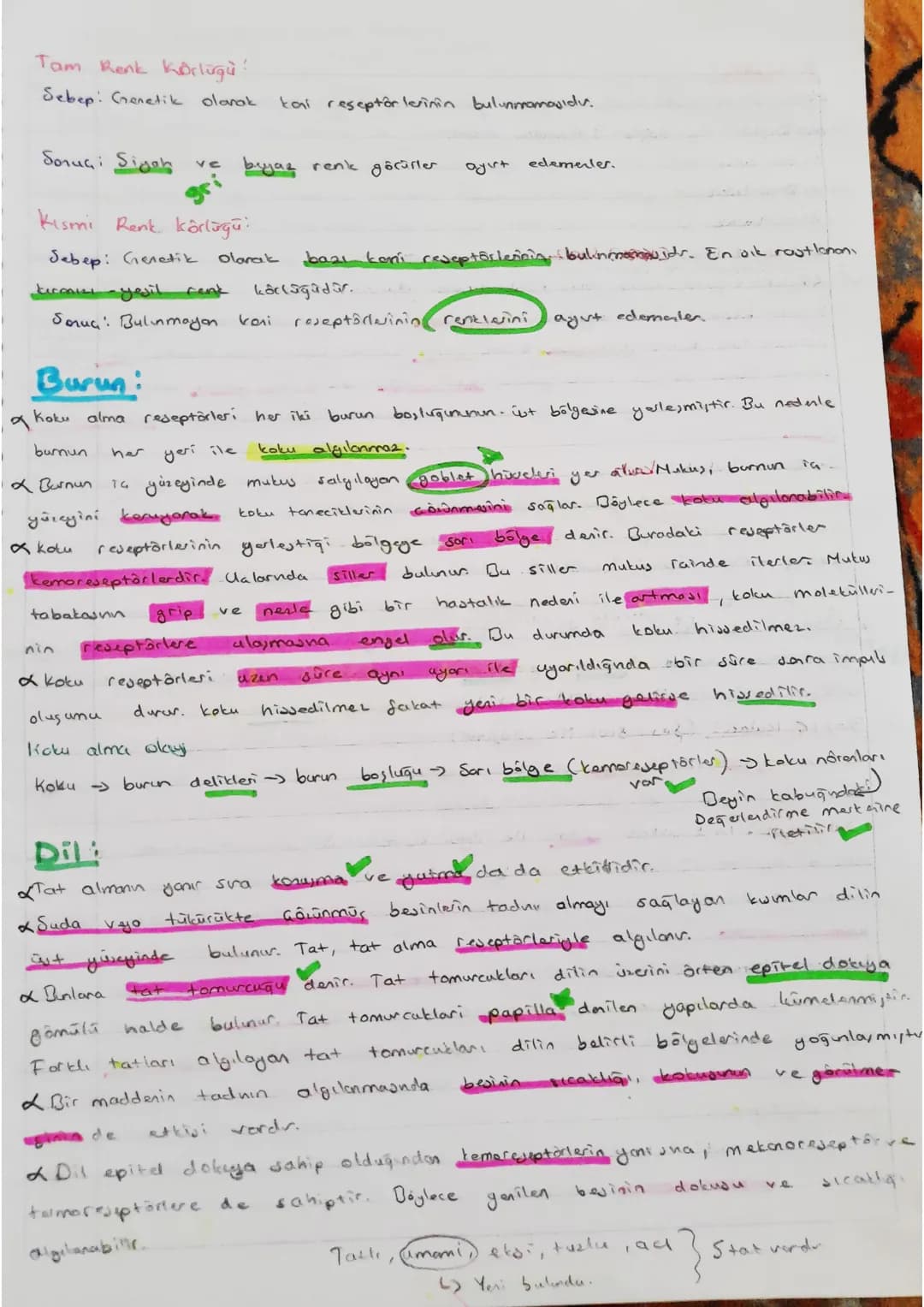 canontieta melatarin havmenu salgılar.
u hamen biyolojik Soati dusenter.

- Duyu Organları -
uyu organları önce çevesindati uyarıları tespit