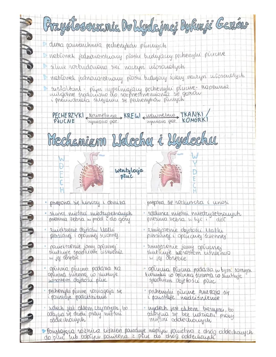 # Układ Oddechowy

*   addychanie to proces metaboliczny
*   aldychove Hemeve energia (40% ATP, 60% ciepio)

Układ oddechowy człowieka

Jama