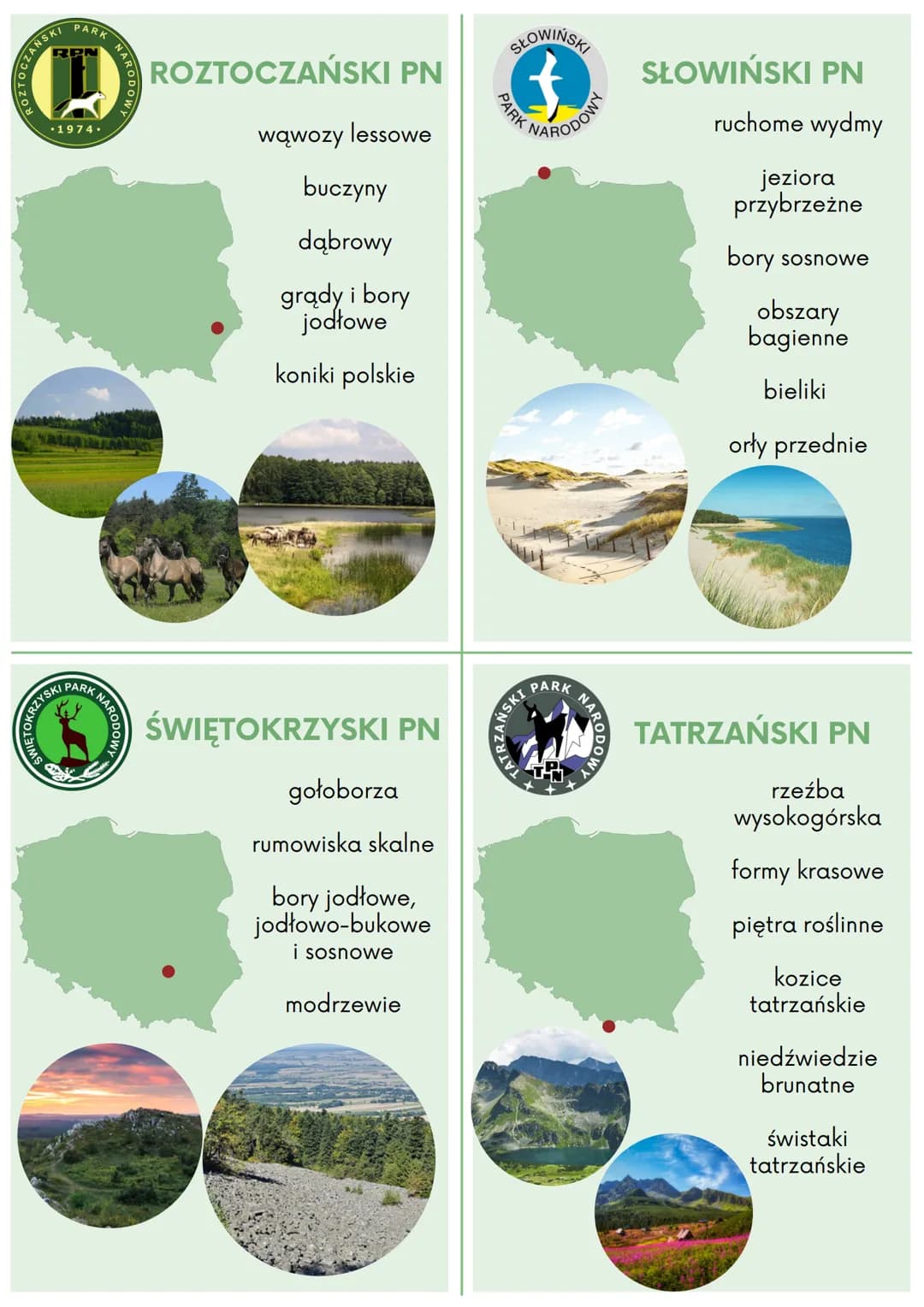 # BABIOGÓRSKI PN
Babia Góra

okrzyn jeleni

lasy reglowe

gołoborza

rumowiska skalne

głuszce

wilki

rysie

# BIAŁOWIESKI PN
pierwotny las