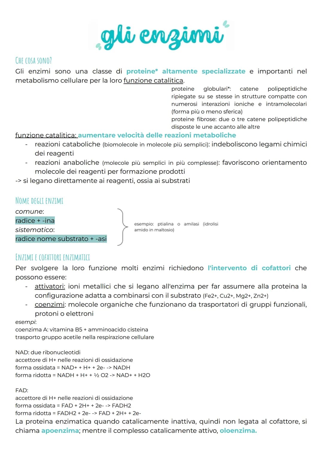 # CHE COSA SONO?

gli enzimi

Gli enzimi sono una classe di proteine altamente specializzate e importanti nel
metabolismo cellulare per la l