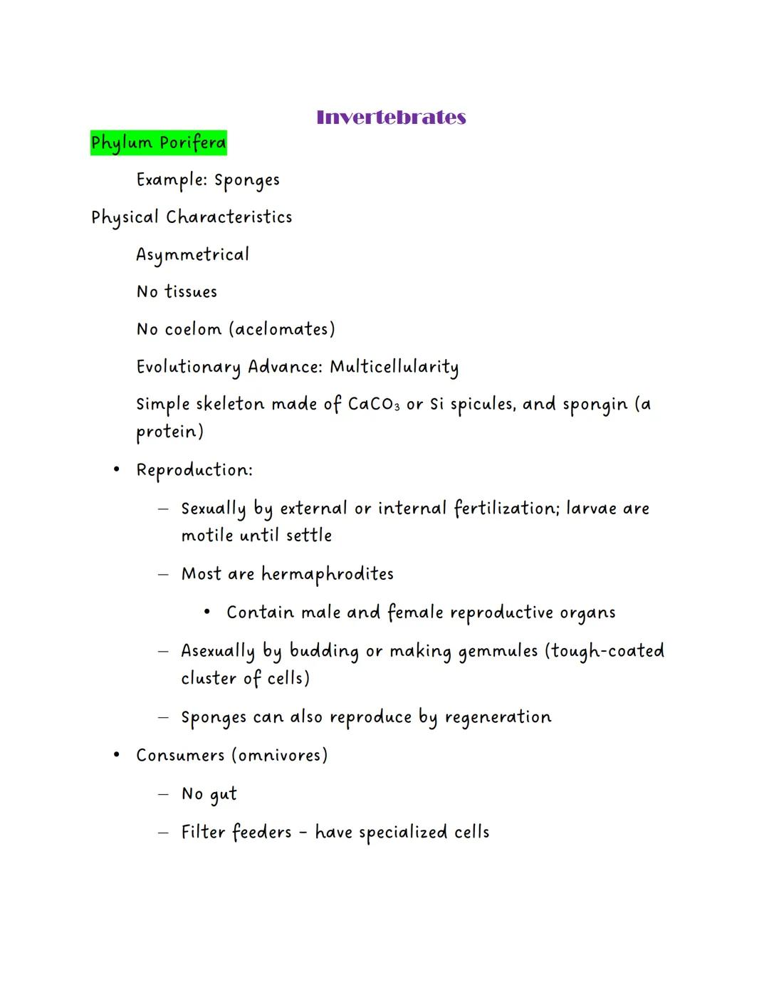 Phylum Porifera

Invertebrates

Example: Sponges

Physical Characteristics

Asymmetrical

No tissues

No coelom (acelomates)

Evolutionary A