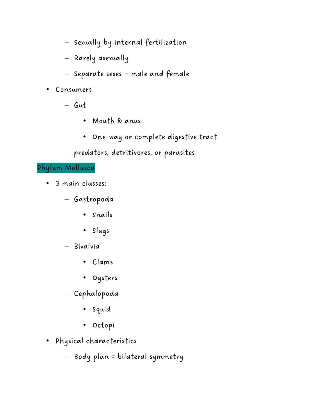 Phylum Porifera

Invertebrates

Example: Sponges

Physical Characteristics

Asymmetrical

No tissues

No coelom (acelomates)

Evolutionary A