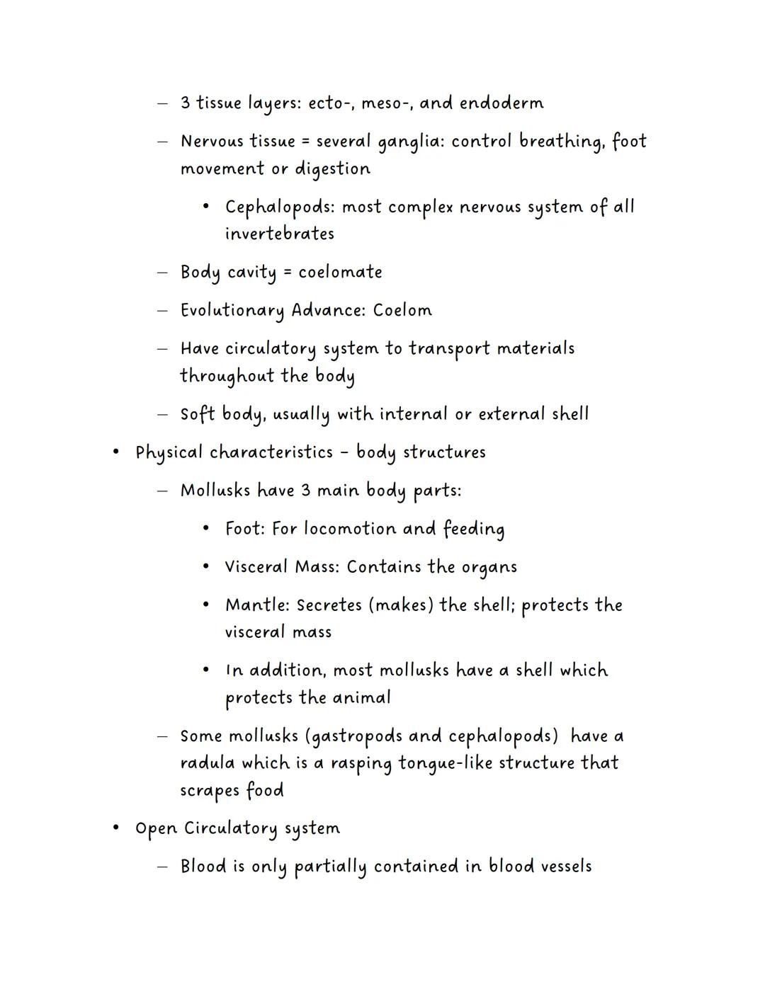 Phylum Porifera

Invertebrates

Example: Sponges

Physical Characteristics

Asymmetrical

No tissues

No coelom (acelomates)

Evolutionary A