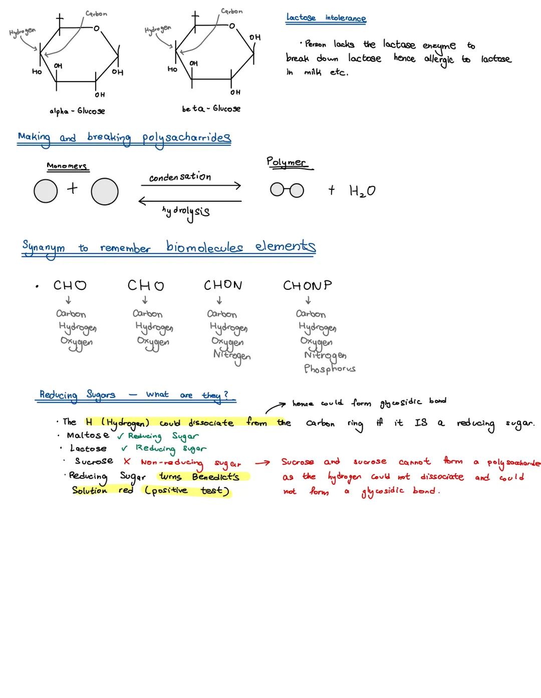 There are four main types of biological molecule which are found in all organisms:

0000
مممم

Carbohydrates

Lipids

Proteins

Nucleic acid