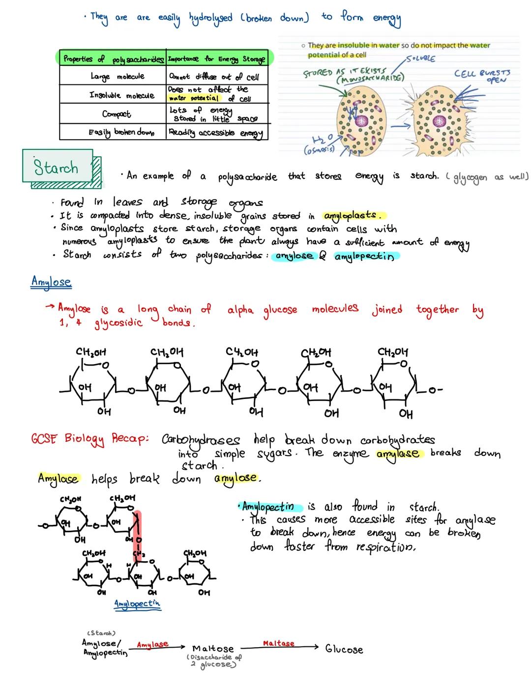 There are four main types of biological molecule which are found in all organisms:

0000
مممم

Carbohydrates

Lipids

Proteins

Nucleic acid