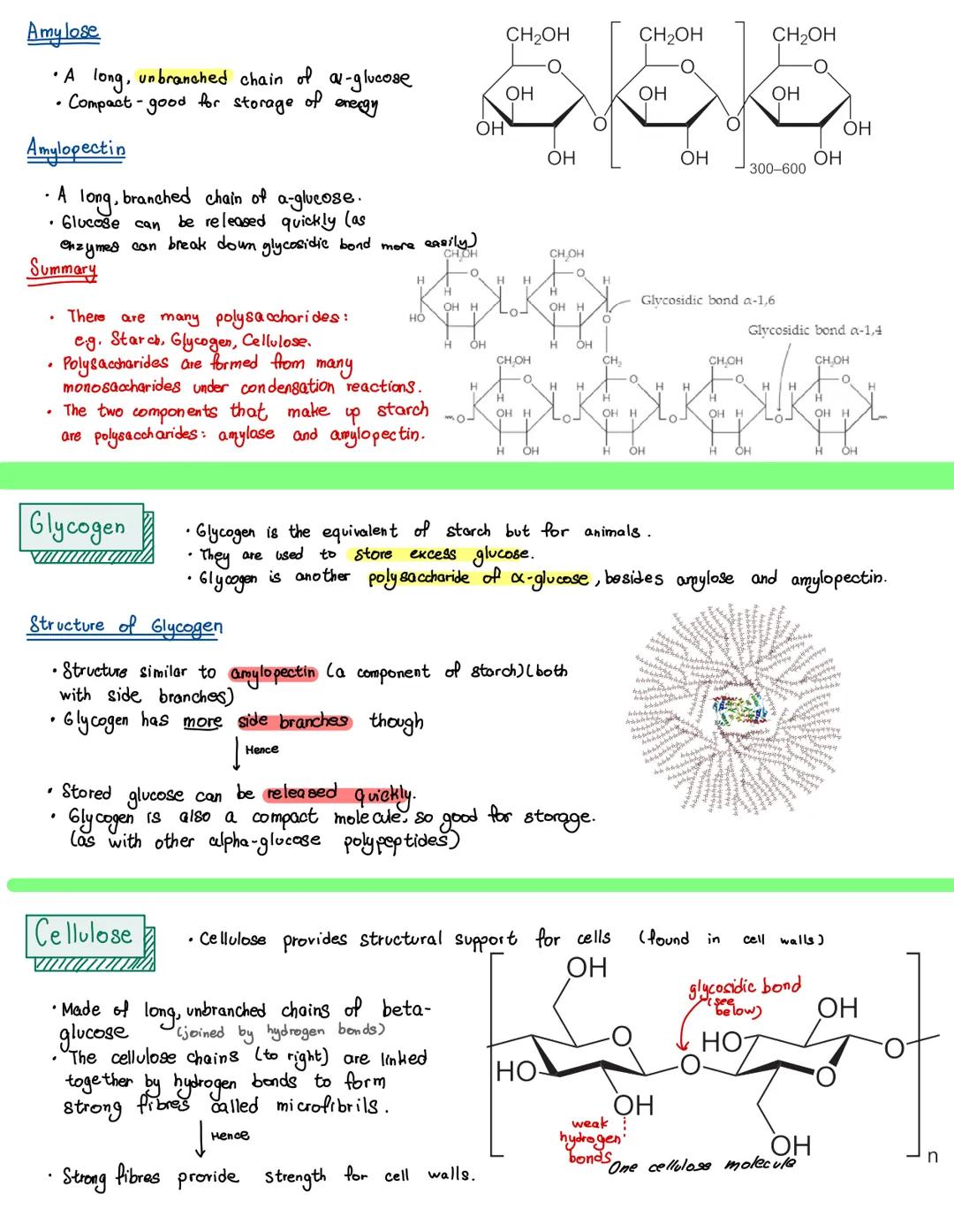 There are four main types of biological molecule which are found in all organisms:

0000
مممم

Carbohydrates

Lipids

Proteins

Nucleic acid