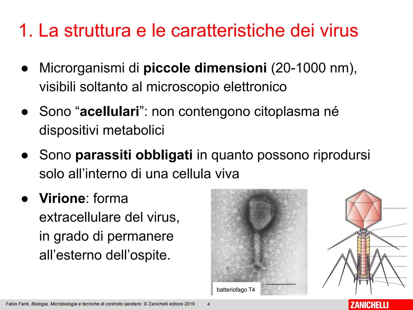 ZANICHELLI Fabio Fanti

Biologia,
microbiologia
e tecniche di
controllo sanitario Capitolo 10

I virus

Fabio Fanti, Biologia, Microbiologia