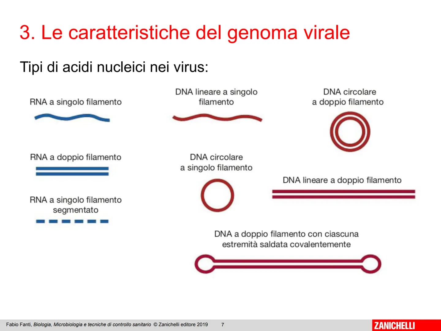 ZANICHELLI Fabio Fanti

Biologia,
microbiologia
e tecniche di
controllo sanitario Capitolo 10

I virus

Fabio Fanti, Biologia, Microbiologia
