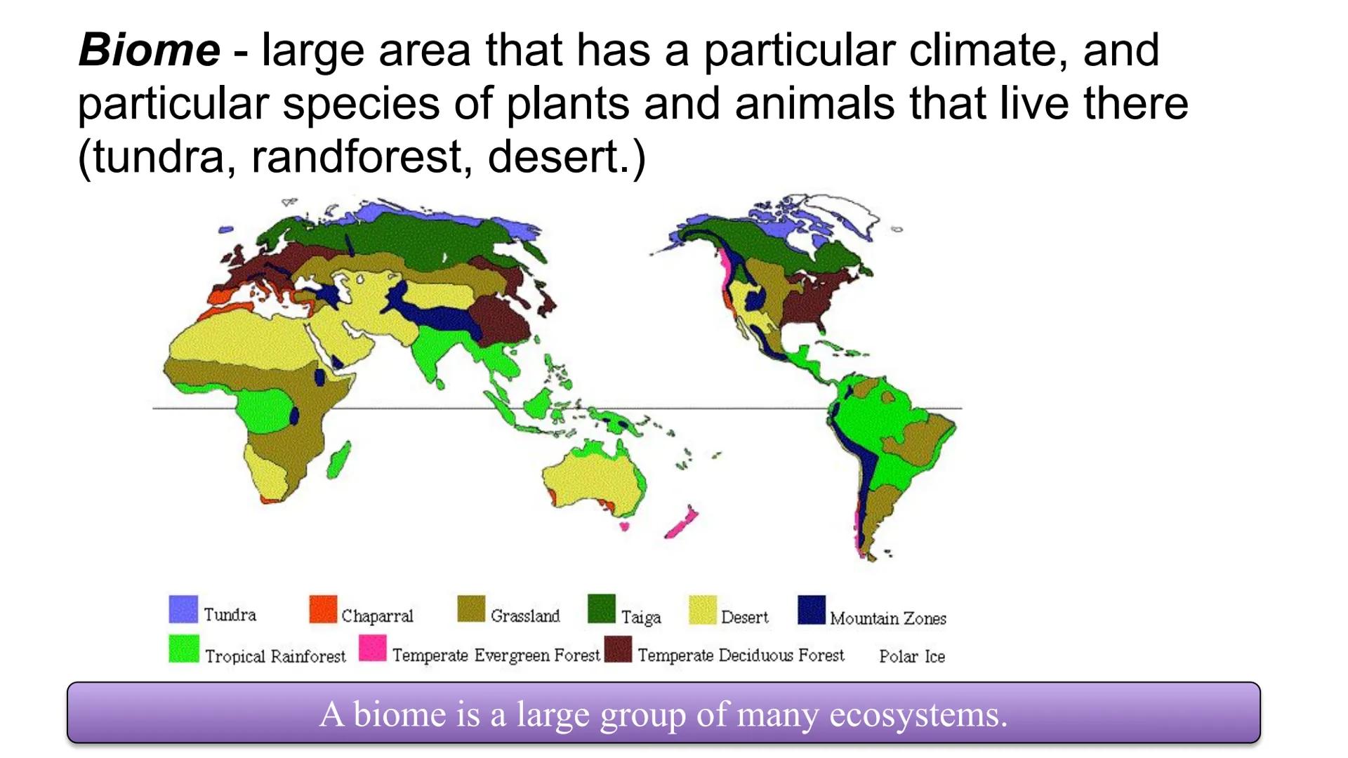 # ECOLOGY

Topic: Introduction to Ecology
Student Notes ECOLOGY is the scientific study of interactions among
organisms with each other and 