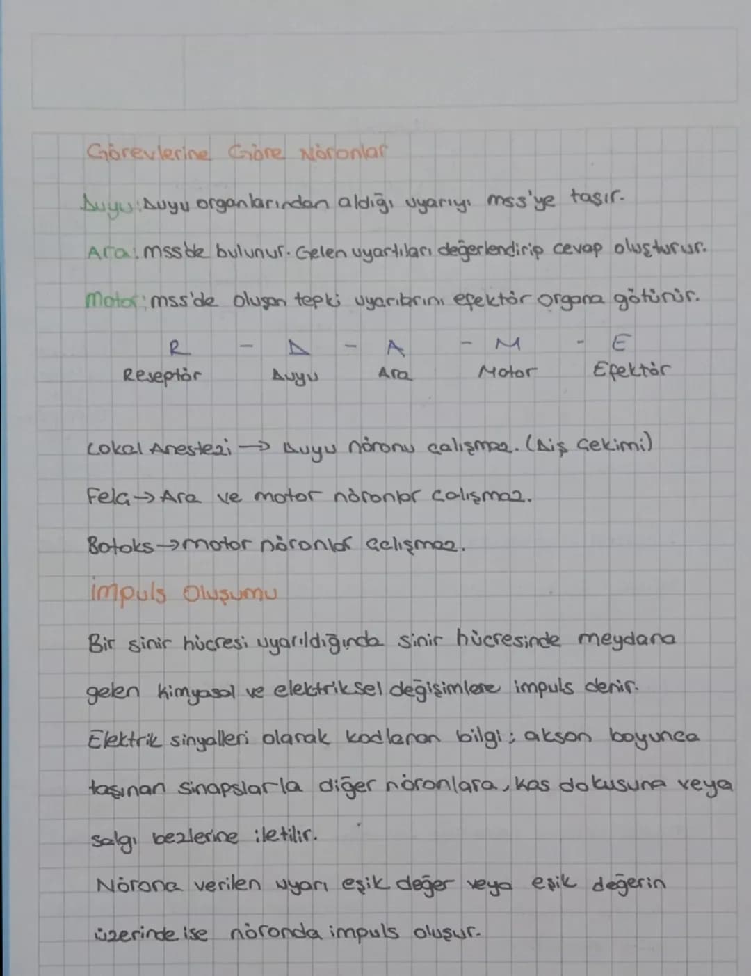 Dentrit

Hicre
Gövdesi

lelim
yons

Ronvier
Boğumu

(cekirdek)

miyelin
Kily

Schwann
Hücresi Lipoprotein

Akson
yapıl
Uçları

Sentrozomu ya