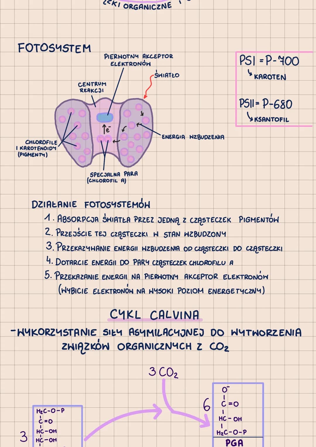 # METABOLIZM
-POHTORZENIE DO MATURY 2023-
сг. 1
ANABOLIZM - reakcje syntezy, zwykle endoergiczne
prykłady: fotosynteza, chemosynteza

ENERGI
