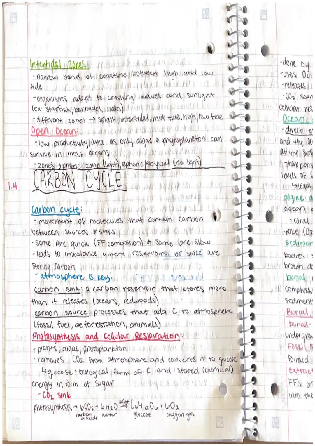 Freshwate
Competition
are fever resources avaliable and
Federal since there are
we
Size
Resource partitioning different species using the sa