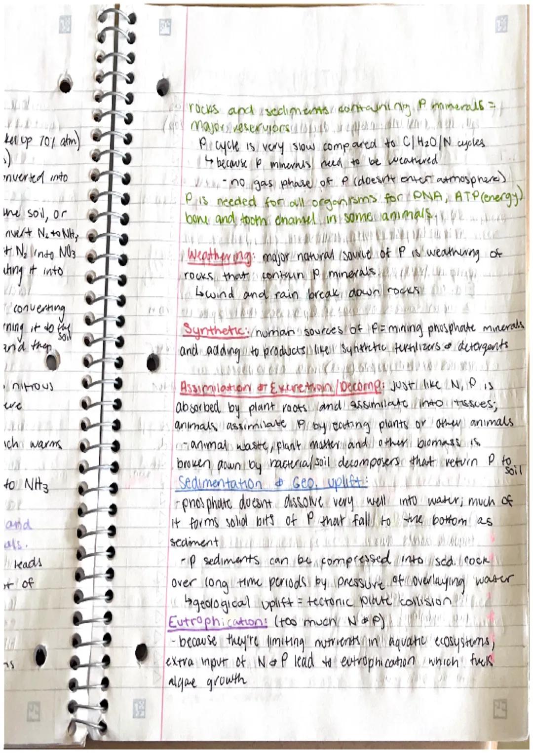 Freshwate
Competition
are fever resources avaliable and
Federal since there are
we
Size
Resource partitioning different species using the sa