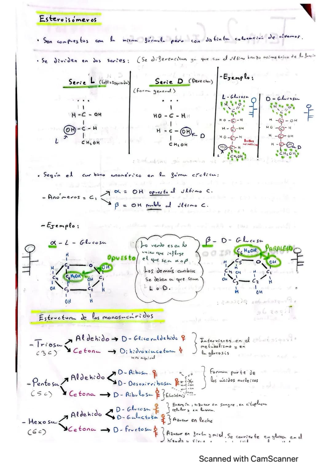 # TEMA EMA 2: GLÚCIDOS
ln
• Son biomoléculas orgánicas formadus por C, H, O. (Azúcares)

• Químicamente, todos los glúcidos Cexcepto los mon