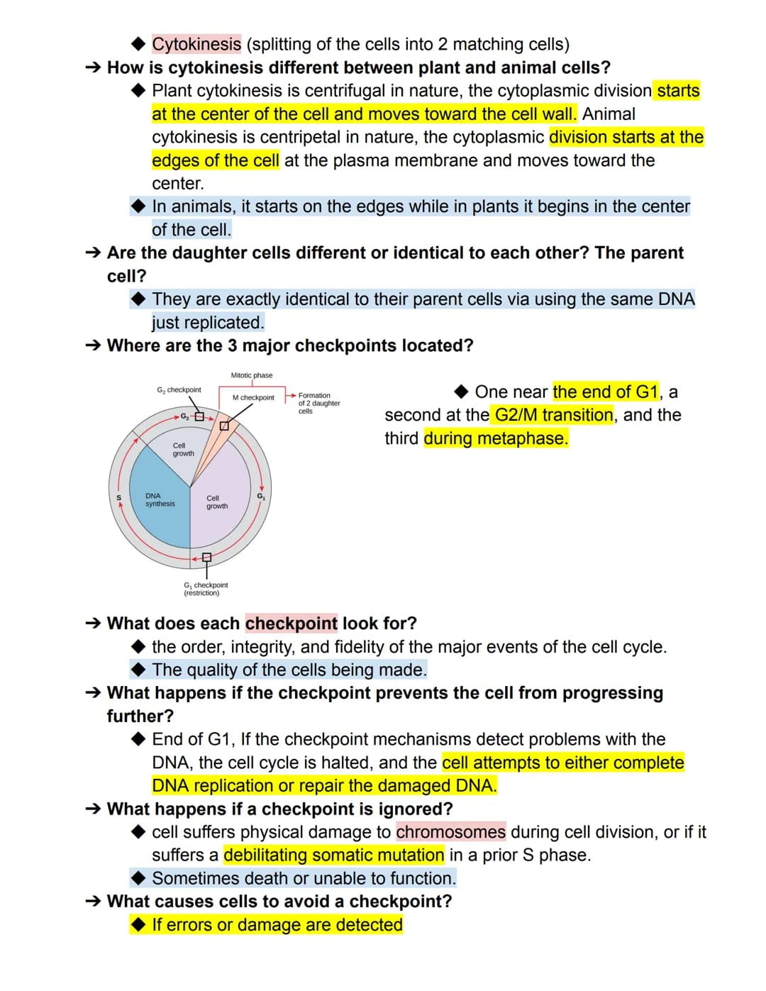 Case Study 5 Test Review Sheet
Key: Important, vocab, rewordings
→ What are the 3 phases of the Cell Cycle?
◆ Interphase, Mitosis, Cytokines