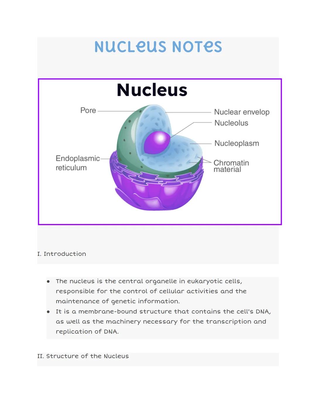# NUCLEUS NOTES

Pore

Endoplasmic-
reticulum

# Nucleus

Nuclear envelop
Nucleolus

Nucleoplasm

Chromatin
material

I. Introduction

*   T