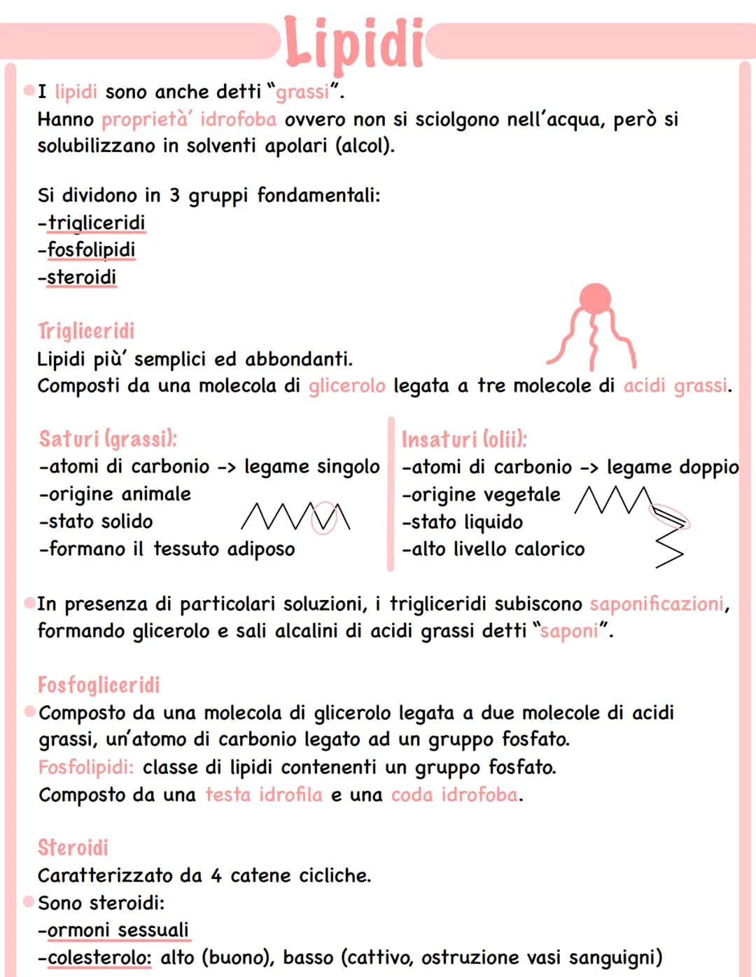 # Lipidi

• I lipidi sono anche detti "grassi".
Hanno proprietà' idrofoba ovvero non si sciolgono nell'acqua, però si
solubilizzano in solve