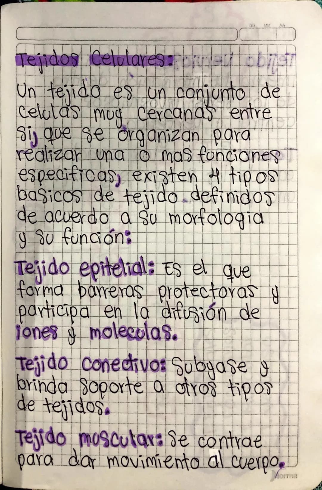 DD MM
AA
# Tejidos Celulares: canet olingt

Un tejido es un conjunto de
Celulas muy cercanas entre
Si, que se organizan para
realizar una o 