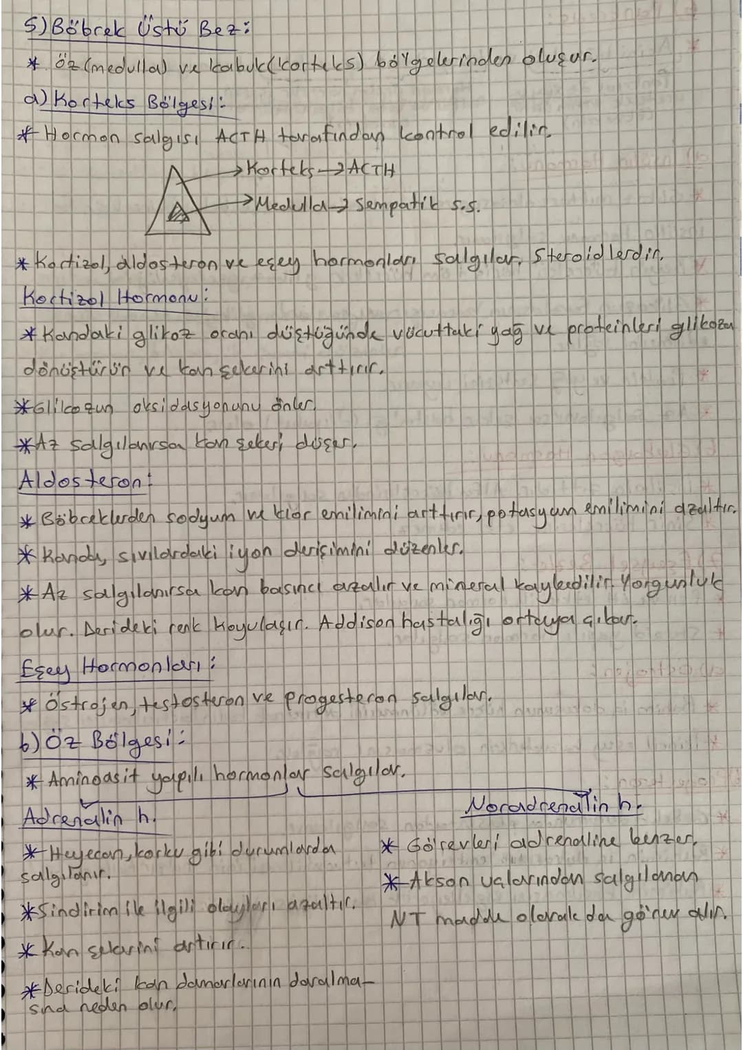 ENDOKRIN SISTEM

Hormon:

* Organik maddelerdir.
*Kan yoluyla taşınırlar.
* Çalışması yavaştır, fakat uzun süre etkilidir.
*Karma bezlerden,