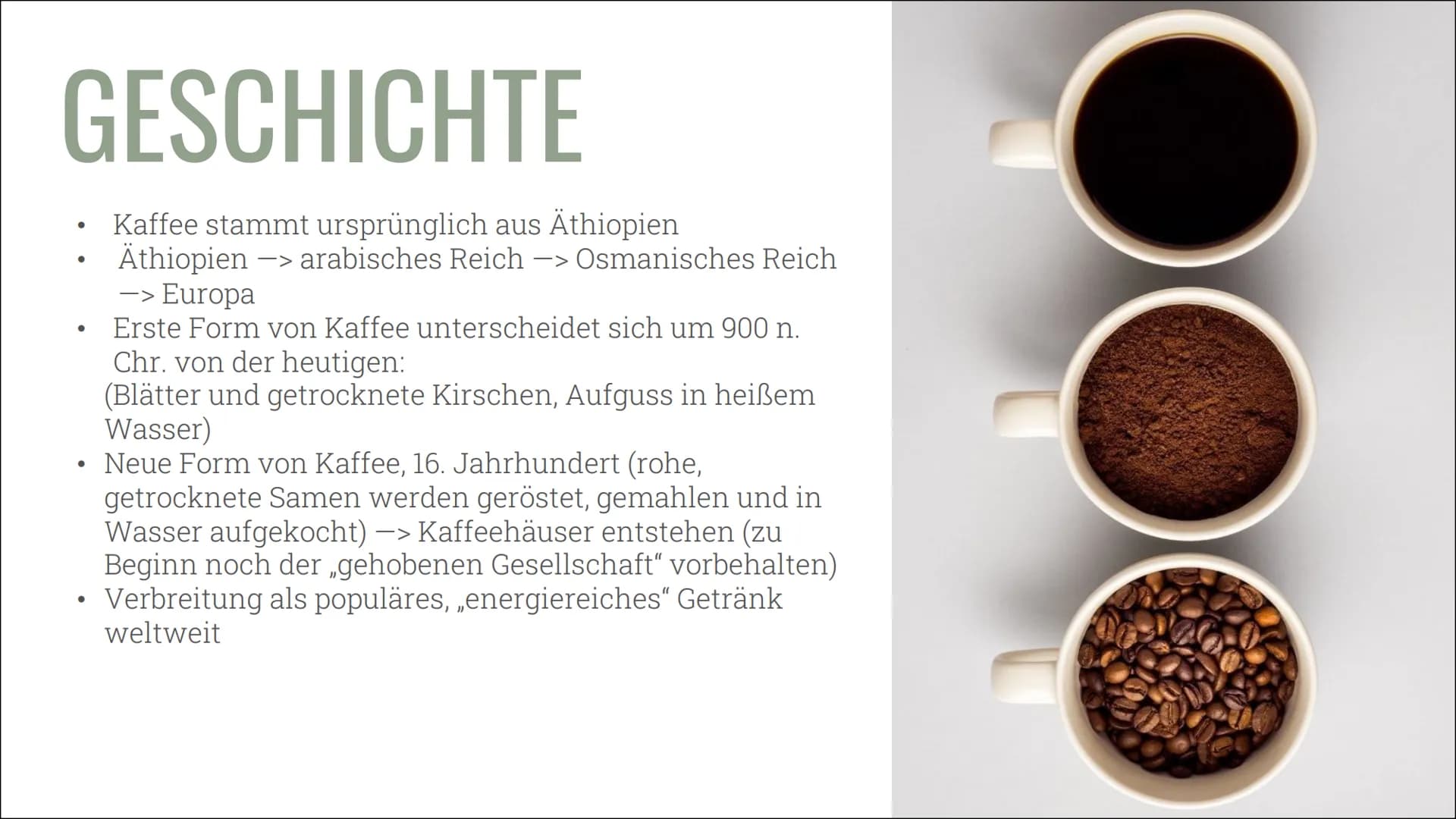 # KAFFEE &
# KOFFEIN

Alles über die Nutzung, die
Wirkung und die Sucht INHALT

01 ALLGEMEINES
Geschichte, Vorkommen und
Herstellung

02 KON