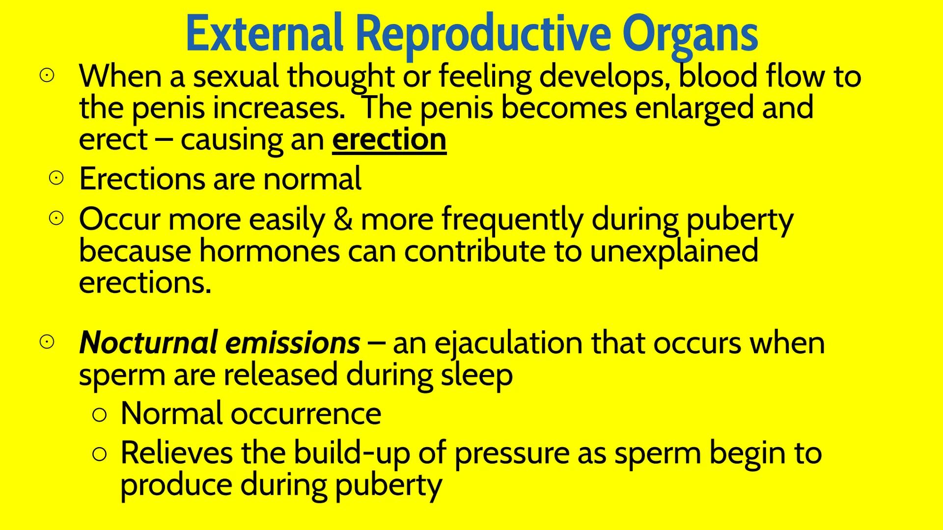 # Male Reproductive System # How Male Reproduction Works

Main Idea

The male reproductive system includes both
external and internal organs