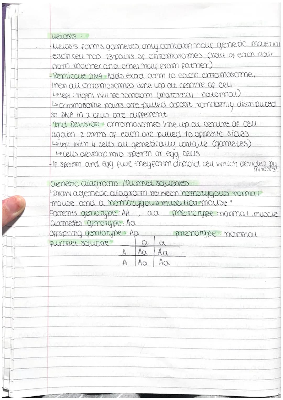 # Biology notes
DNA cond ciernes.
- DNA Deoxyribonucleic acid, al genetic material is made of,
Polymer, douwbre nelix
- chromosome tight coi