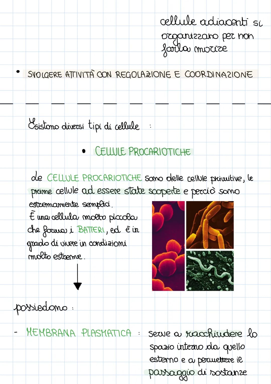 # LA CELLULA

La CELLULA è la più piccola unita di un essere vivente in
grado di funzionare in modo automomo

È stata scoperta nel 18 secolo