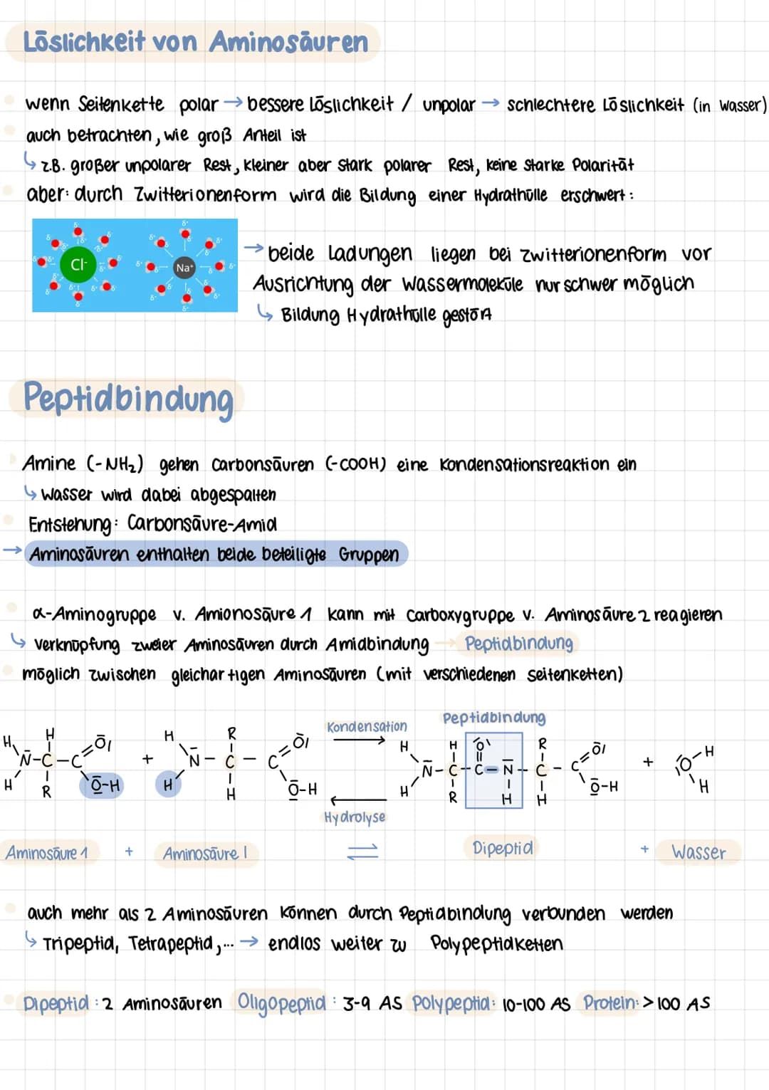 Q2 1.

# PROTEINE
Chemie Lernzettel

## Aminosäuren

- Proteine aus 20 Aminosäuren aufgebaut
- Aminogruppe sitzt an C-Atom, wo auch Carboxyg