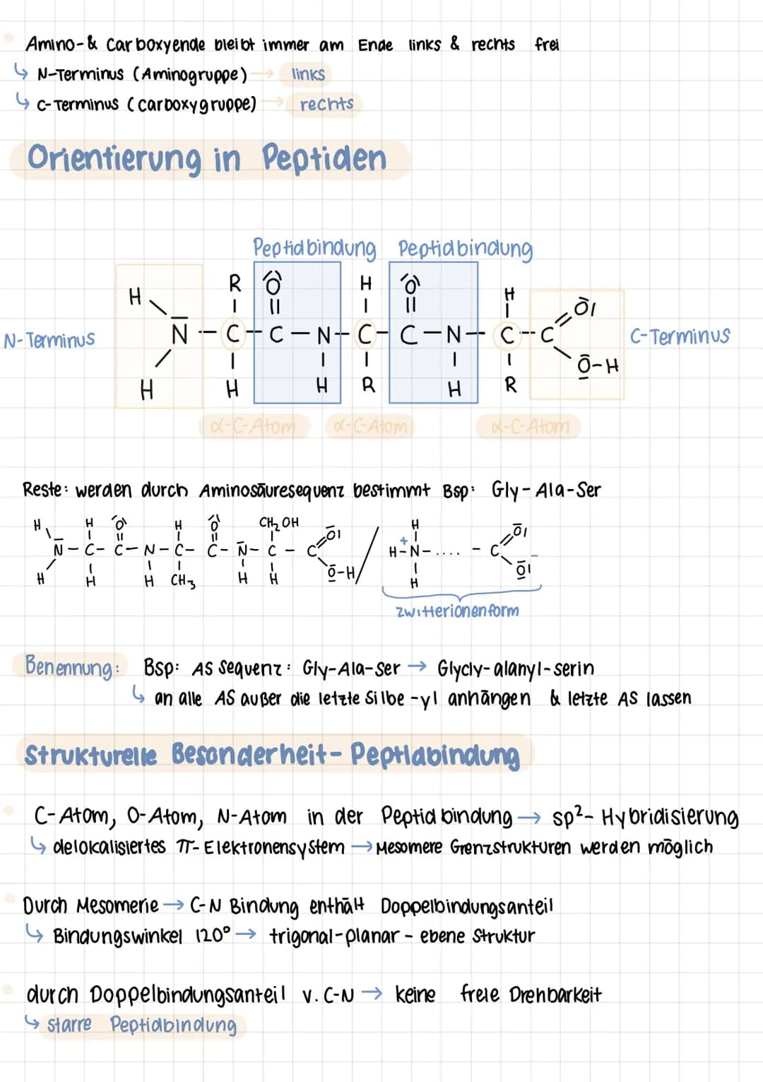 Q2 1.

# PROTEINE
Chemie Lernzettel

## Aminosäuren

- Proteine aus 20 Aminosäuren aufgebaut
- Aminogruppe sitzt an C-Atom, wo auch Carboxyg