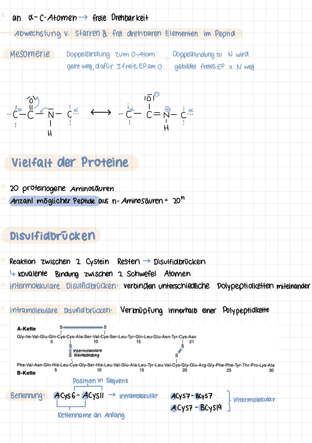 Q2 1.

# PROTEINE
Chemie Lernzettel

## Aminosäuren

- Proteine aus 20 Aminosäuren aufgebaut
- Aminogruppe sitzt an C-Atom, wo auch Carboxyg