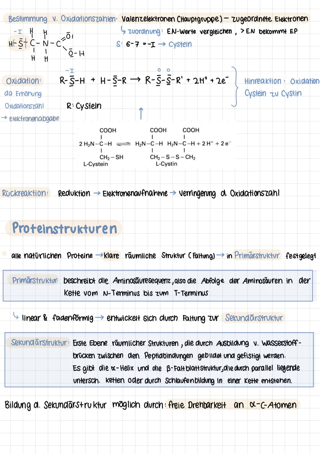 Q2 1.

# PROTEINE
Chemie Lernzettel

## Aminosäuren

- Proteine aus 20 Aminosäuren aufgebaut
- Aminogruppe sitzt an C-Atom, wo auch Carboxyg