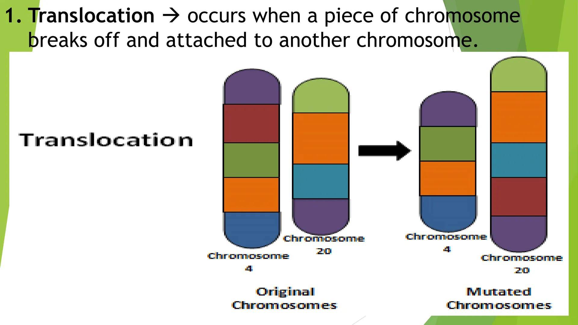MUTATION • Changes in the protein structure or level of expression
may lead to changes in cellular properties and behavior,
as a result, the
