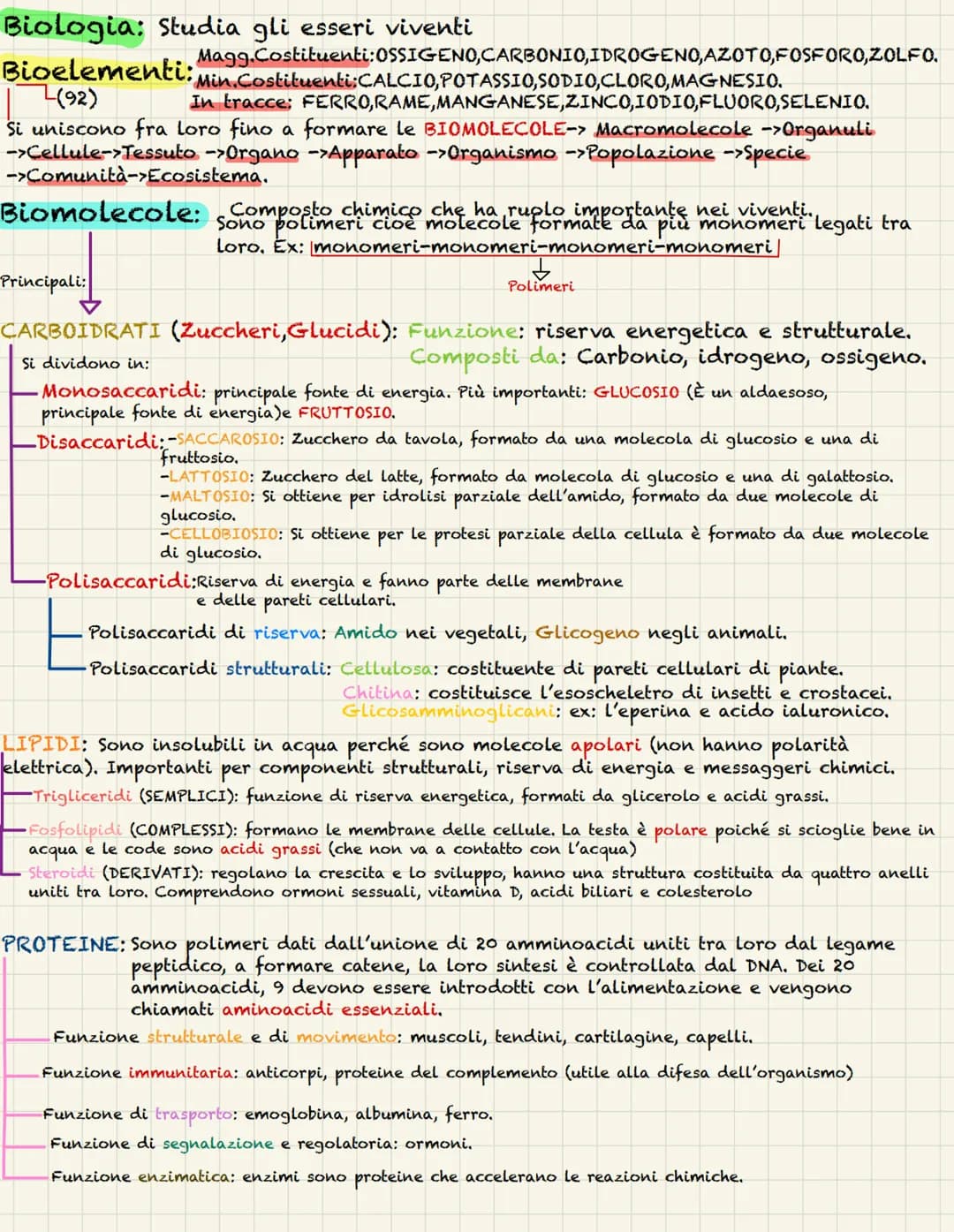 # Biologia: Studia gli esseri viventi

Magg.Costituenti: OSSIGENO, CARBONIO, IDROGENO, AZOTO, FOSFORO, ZOLFO.
Bioelementi: Min.Costituenti:C