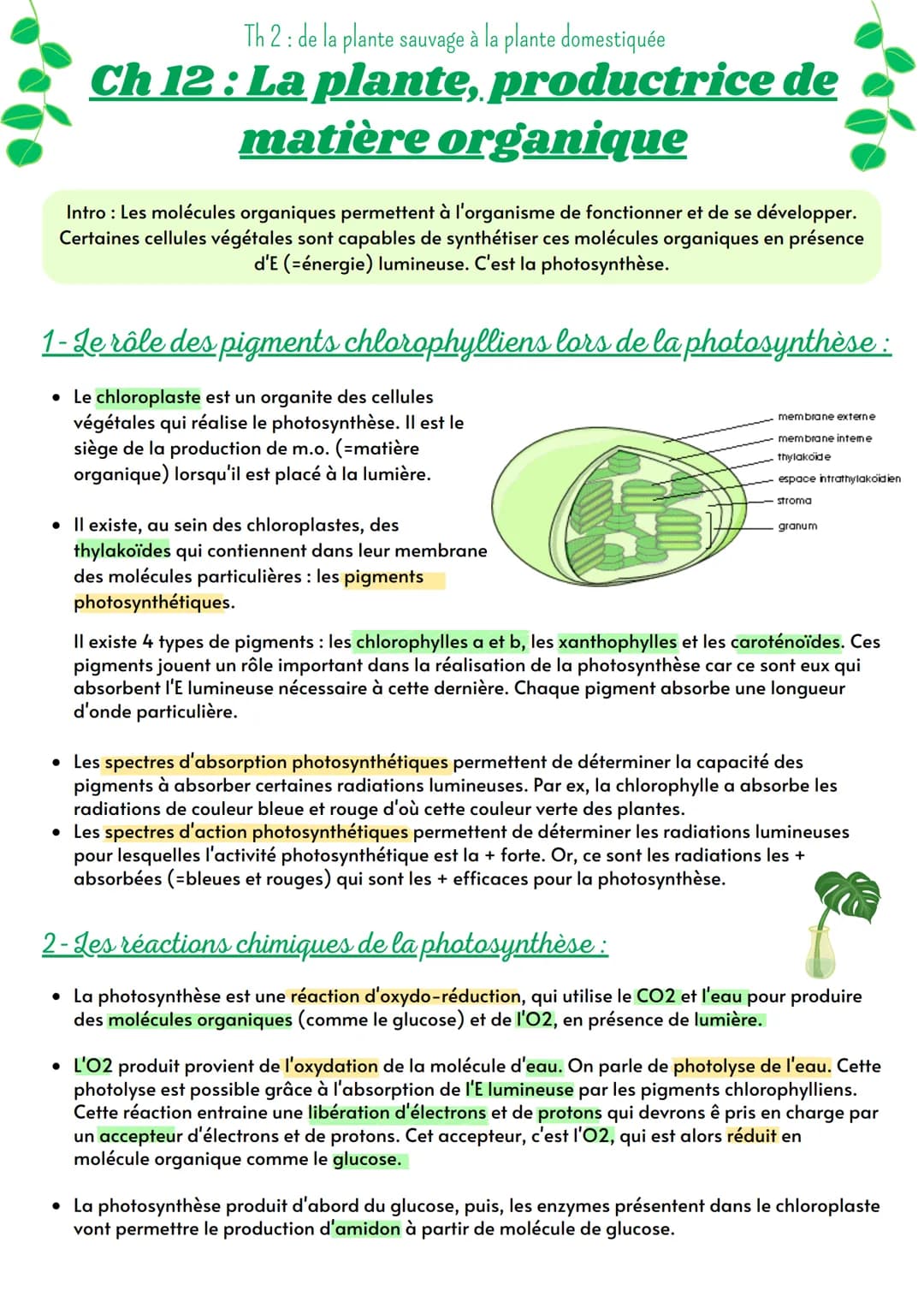 Th 2: de la plante sauvage à la plante domestiquée

# Ch 12 : La plante, productrice de
matière organique

Intro: Les molécules organiques p