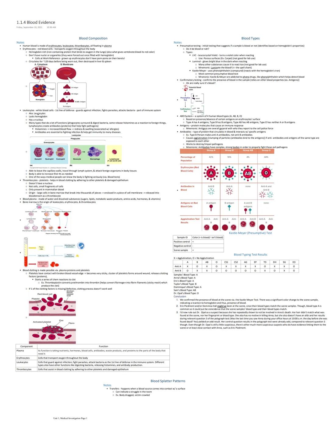 Unit 1, Medical Investigation Page 2

Radial Spatt

the droplets

1. Identify the Problem

was so powerful that i
send droplets traveling

B