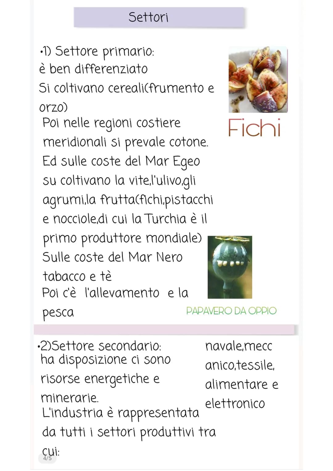 TURCHIA
•Capitale:Ankara
•Lingua:Turco
•Forma di
governo:repubblica
parlamentare

La Turchia confina con:
•A nord è bagnata dal Mar
Nero
•A 