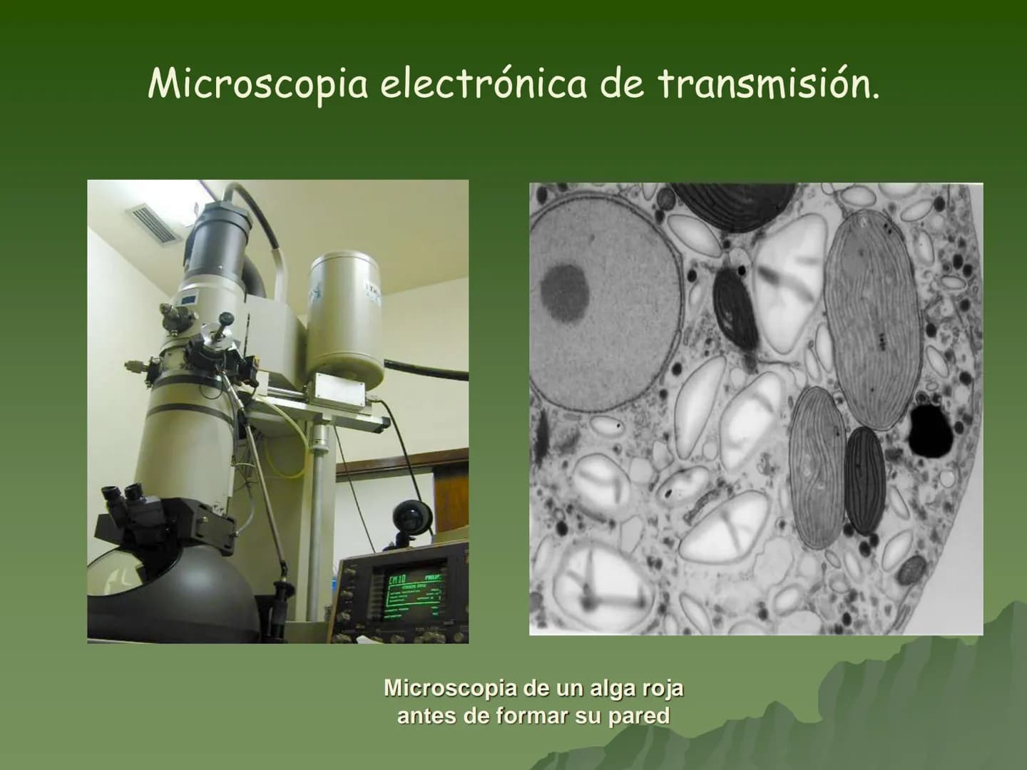  # Concepto:

- La unidad fundamental de todo ser
vivo.

- Su tamaño es muy pequeño por lo
que se requiere para su estudio de
aparatos espec