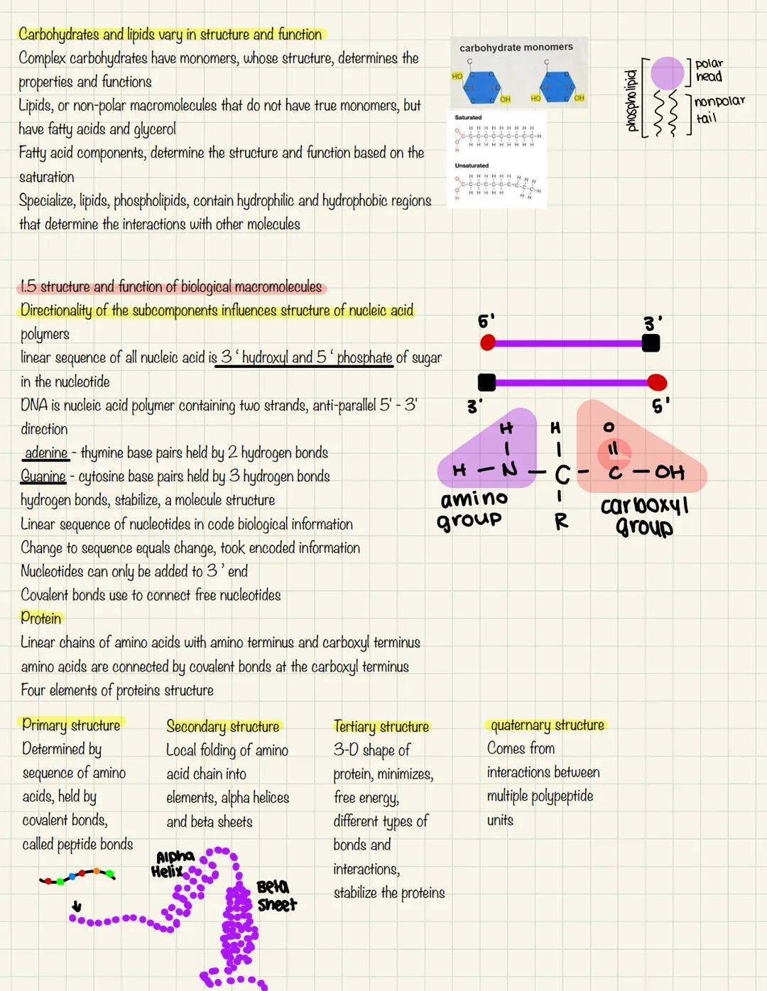 Ap daily note taking

1.3 dehydration synthesis & properties of monomers.
Properties of monomers:
monomers are chemical subunits used to cre