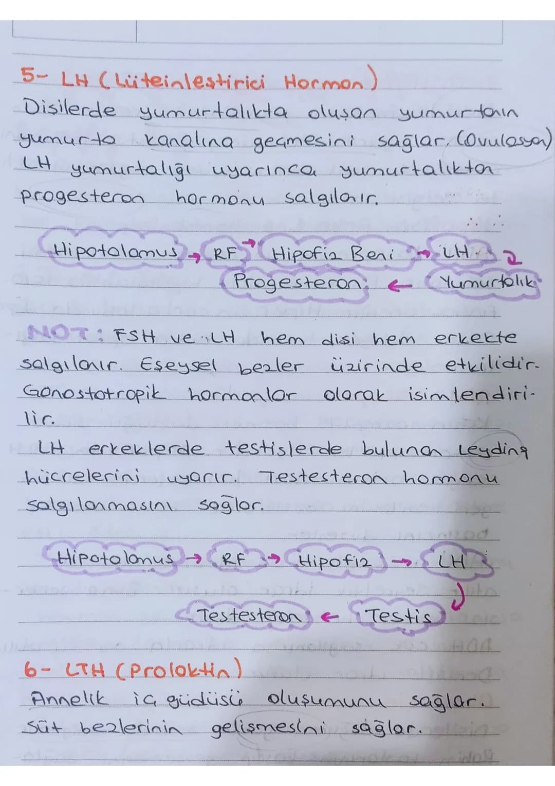 # endokrin sistem

Denetleyici düzenleyici sistemlerdendir.

Endokrin sistem salgı bezlerinden oluşur.

## Salgı Bezleri

ia salgı Bezleri
(