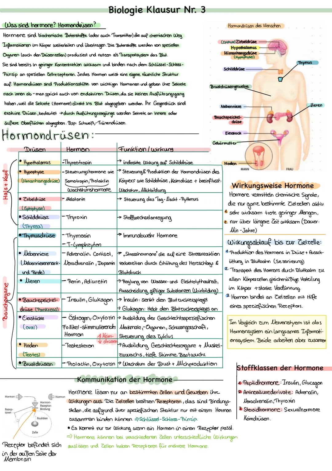 Biologie Klausur Nr. 3

Was sind hormone? Hormondinisen?

Hormone sind biochemische Botenstoffe (oder auch Transmitter) die auf chemischen W