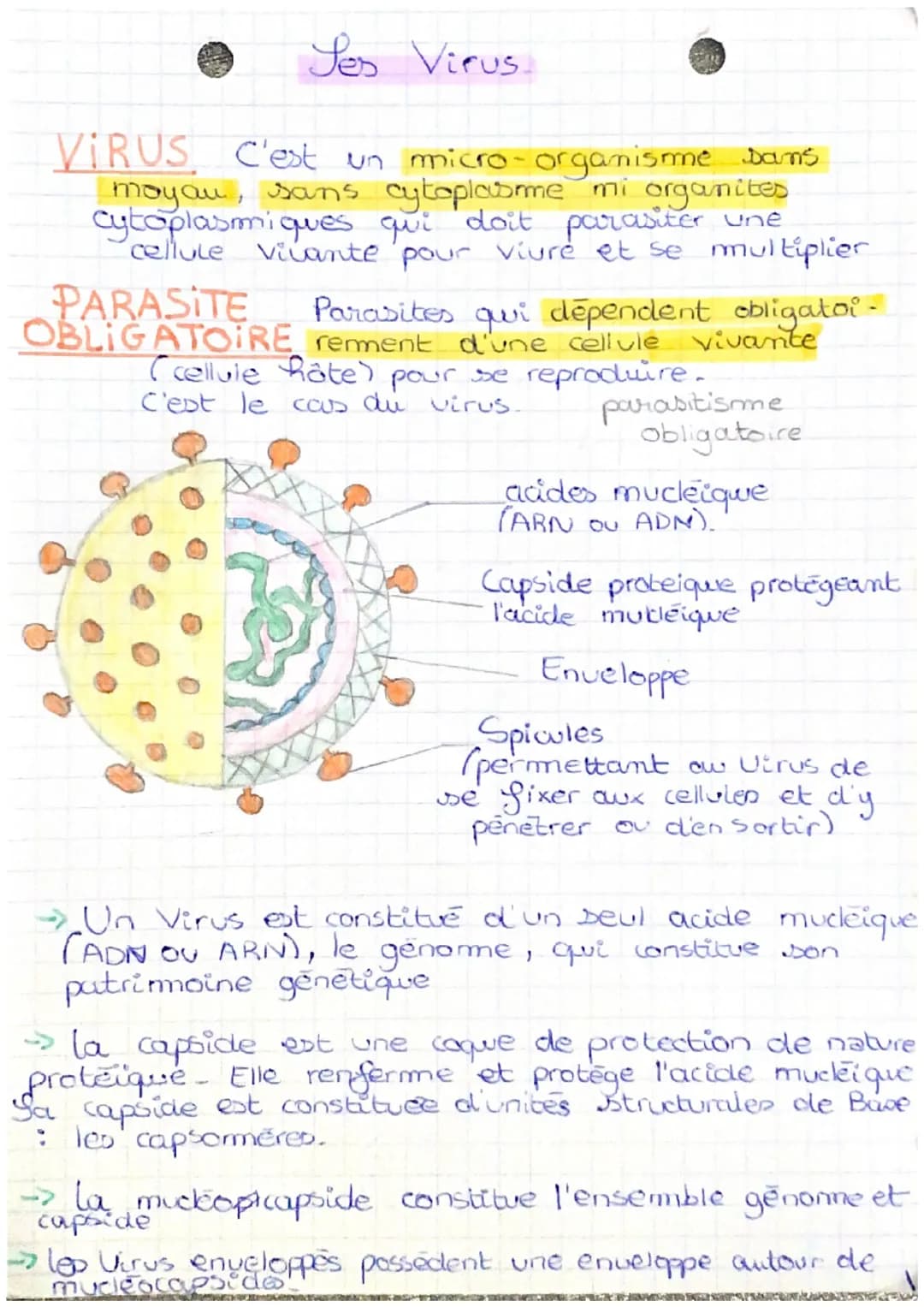 # Les Virus.

VIRUS C'est un micro-organisme sams
moyau, sans cytoplasme mi organites
cytoplasmiques qui doit parasiter une
cellule vivante 