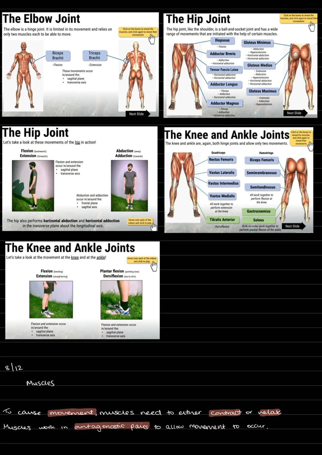 Skeletal muscle functions:
• Mineral Storage
Protection of vital organs.
SSPPMM
formation of jants.
to allow movement
structune.
Production 