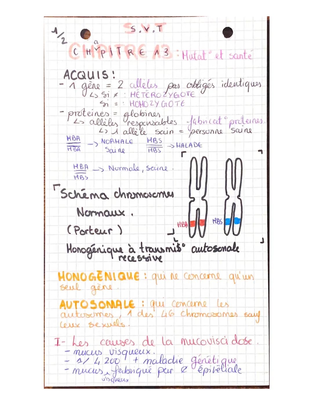 S.V.T

2

a
CHYPITRE 13: Mutat et santé.

ACQUIS!

-4

- 1 gene = 2 alleles pas obligés identiques

Si $\neq$: HETEROZYGOTE

Si = HOMOZYGOTE