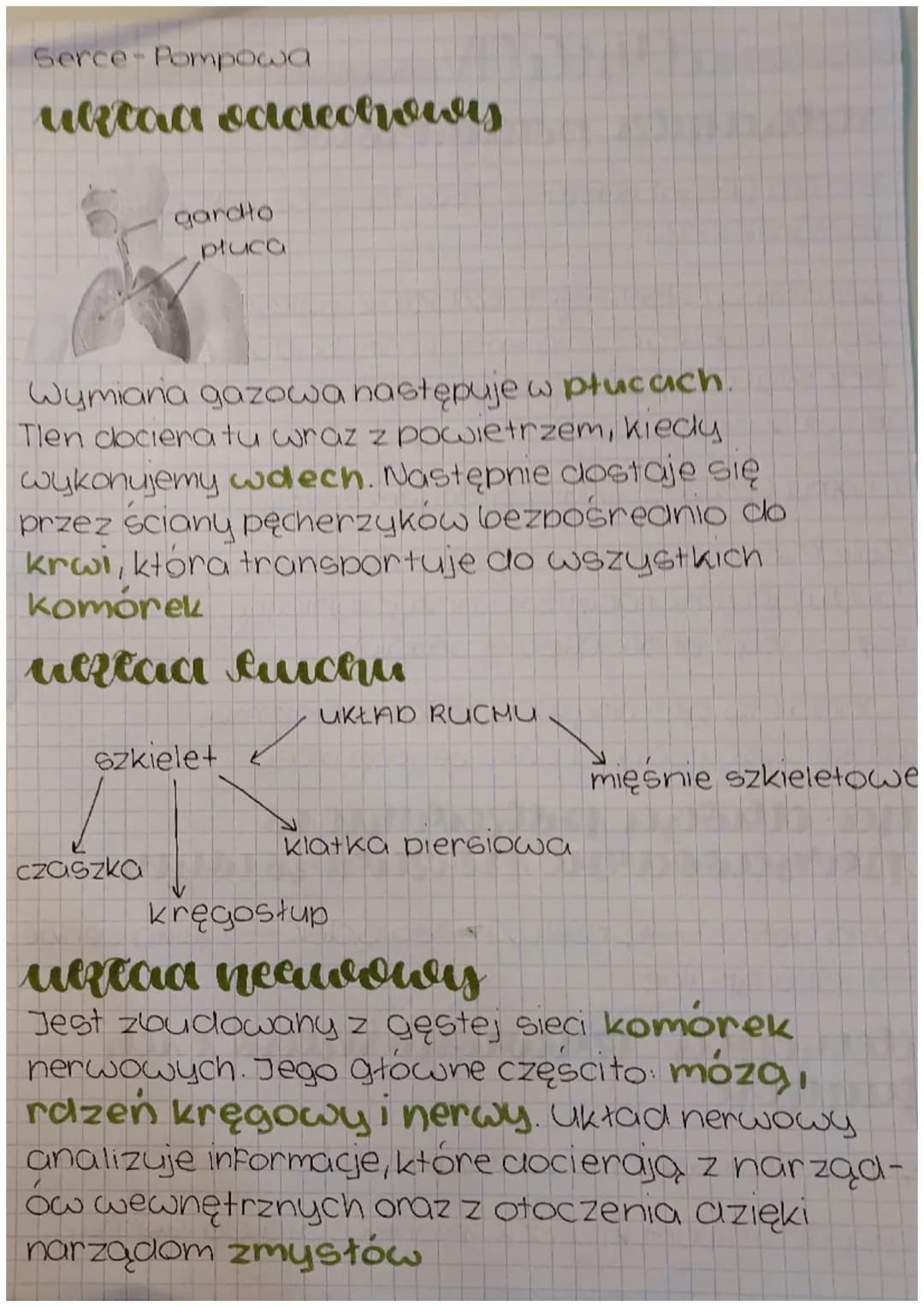 # MiaCVPzyroda

sklaaniri poraamowe

Białka (Regulujacersą podstawowym budulcem
komórek ciałal

Witaminy (eledają to składniki pokarmowe,
kt
