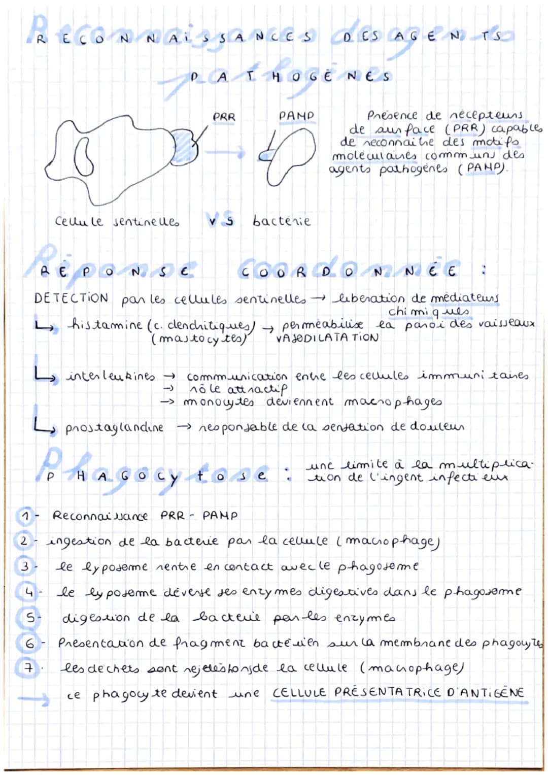 SVT
L'
imm
unité immée
-définition
SYSTEME IMMUNITAIRE fait face aux dangers (infections, Inauma


asmes, etc...)
innee VS adaptative spécif
