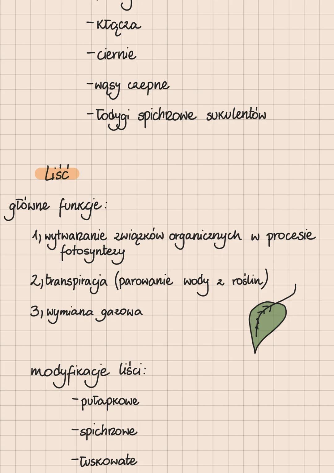 # ROŚLINY PIERWOTNIE WODNE

1. Zielenice

-mają zdolność ruchu

-mogą występować w roznych
formach morfologicznych

- występują głównie w śr