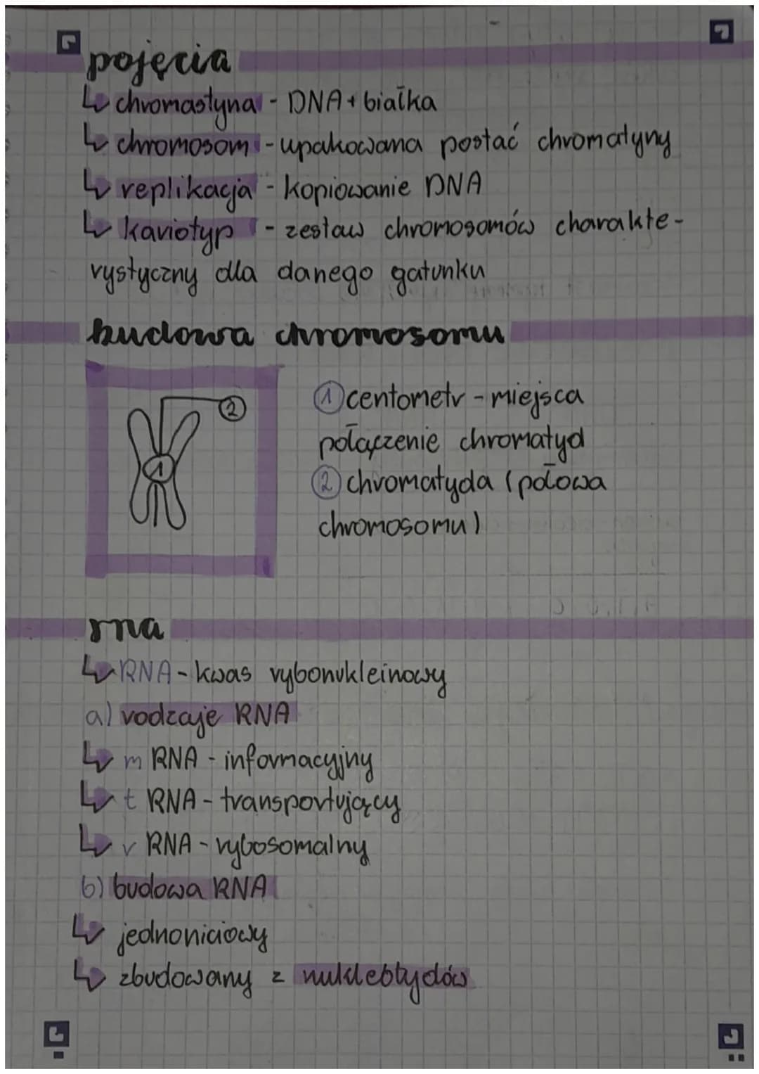 L
# DNA
L DNA to nośnik informacji genetycznej i zapis
wszystkich cech odziedzicznych organizmu. Jego
pelna nazwa to kwas deoksyrybonukleino