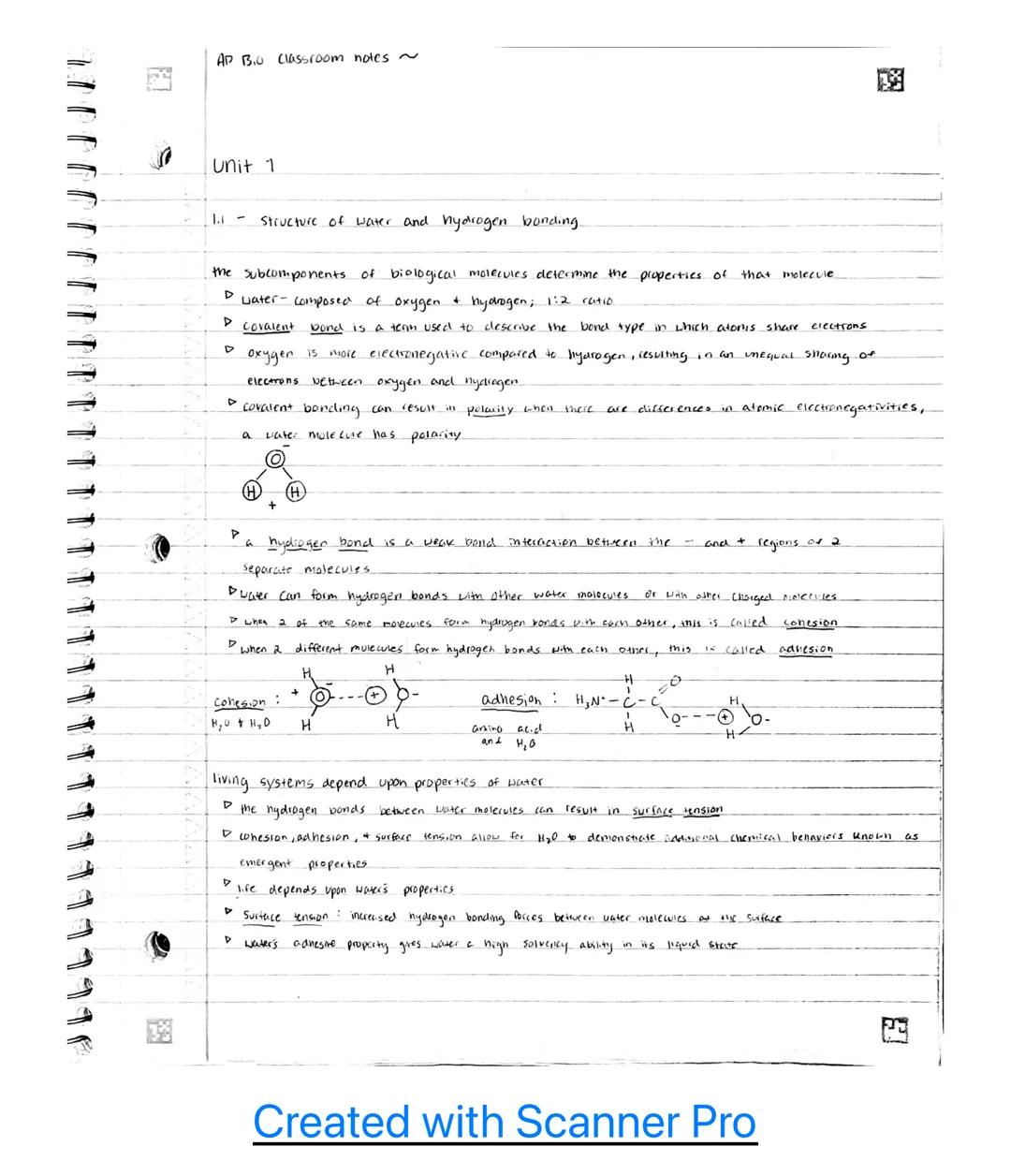 AP B.u classroom notes~

Unit 1

1.1 - Structure of water and hydrogen bonding.

the subcomponents of biological molecules determine the pro